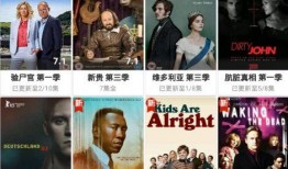 美剧在线观看网站,揭秘热门在线观看平台攻略