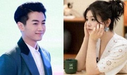 爆料陈晓离婚原视频,原视频揭秘婚姻破裂内幕