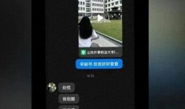 山东大瓜爆料视频播放,揭秘幕后真相，引发网友热议